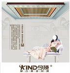 今顶复古吊顶喷绘