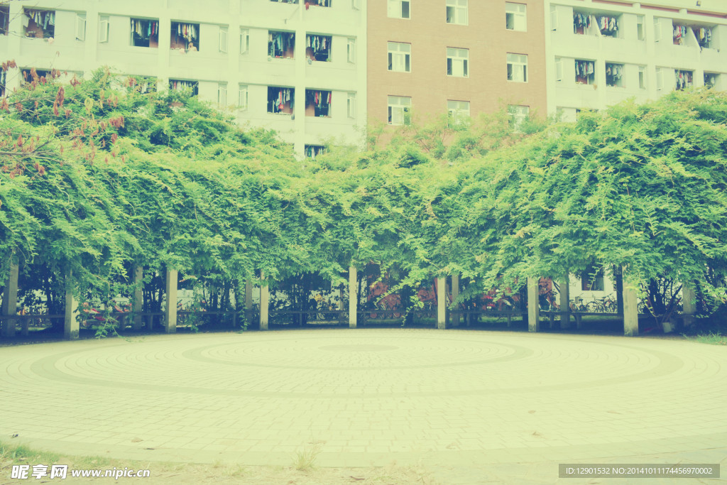 安徽新华学院校园摄影