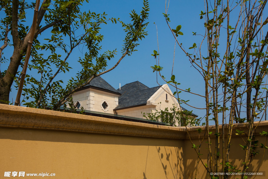 高端古典欧式独栋别墅