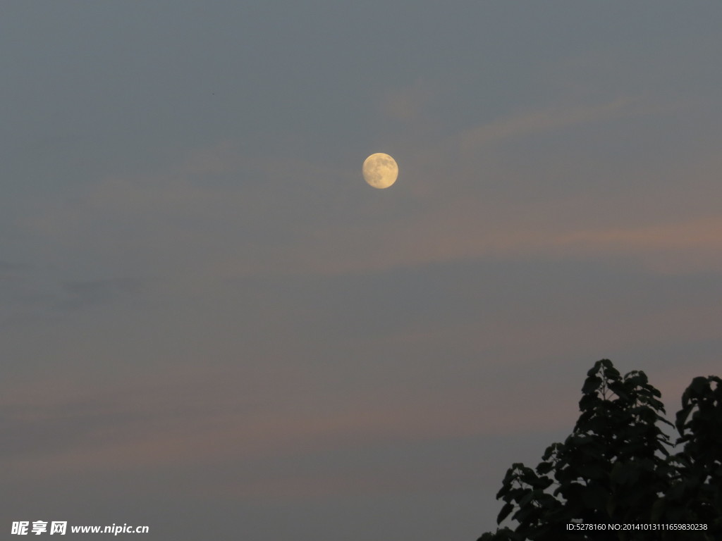 傍晚月亮
