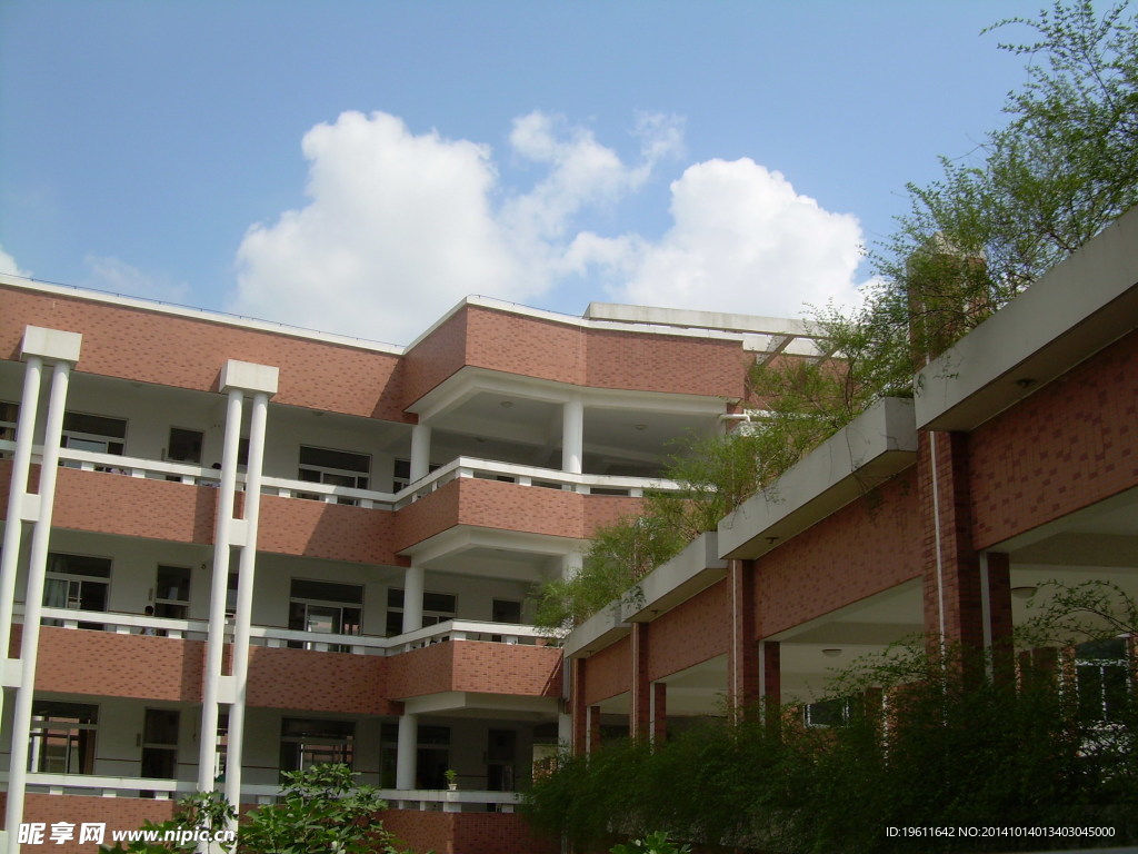 路中教学楼一角