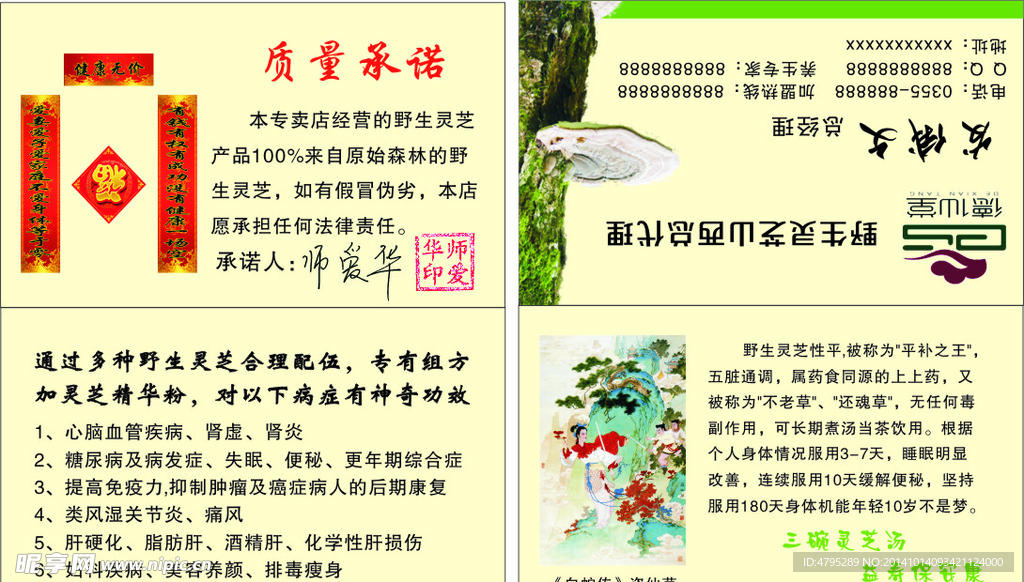 野生灵芝总代理总经理