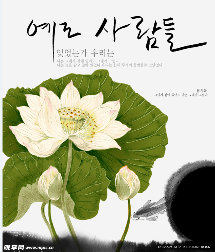 唯美荷花矢量图