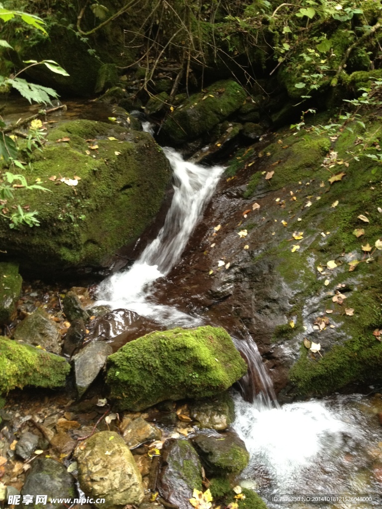 山间细流 山涧