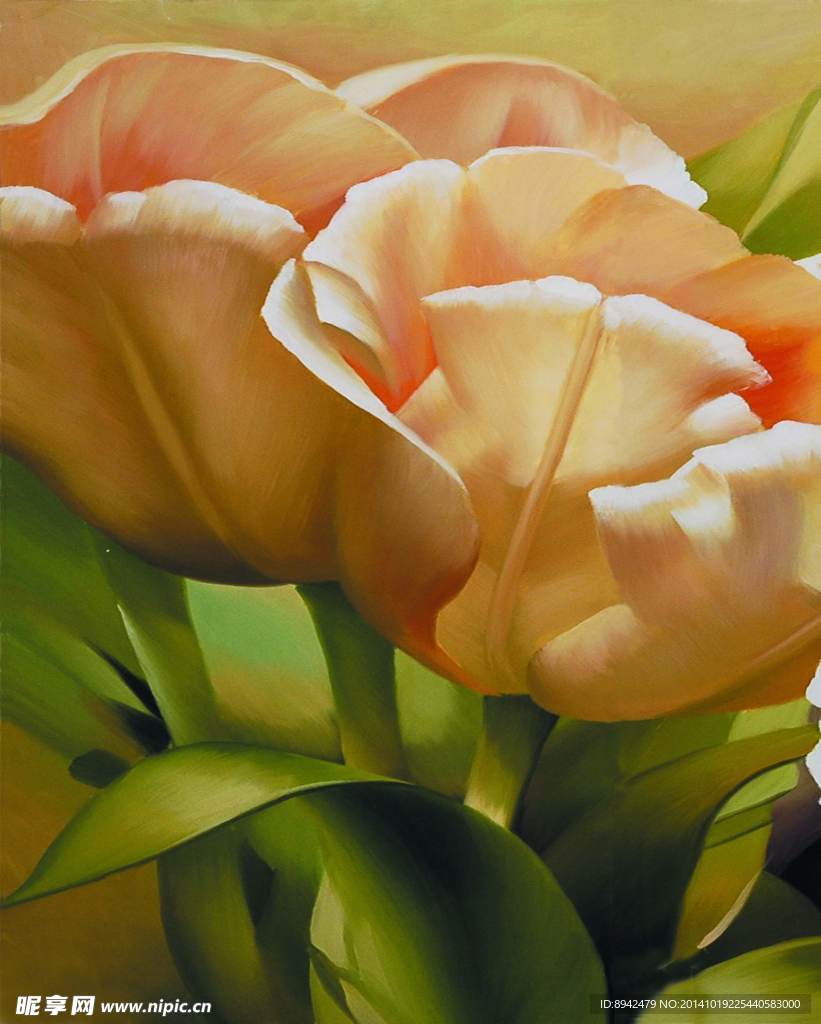 盛开郁金香 数字油画