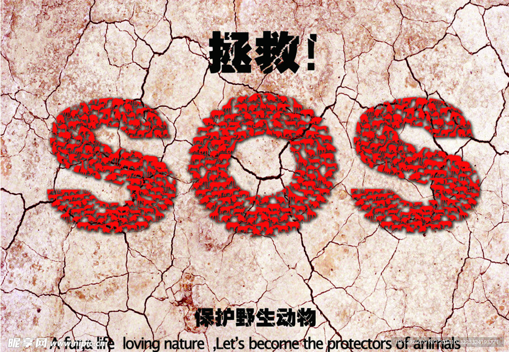 公益海报 保护动物