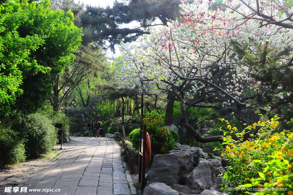 奥林匹克公园风景