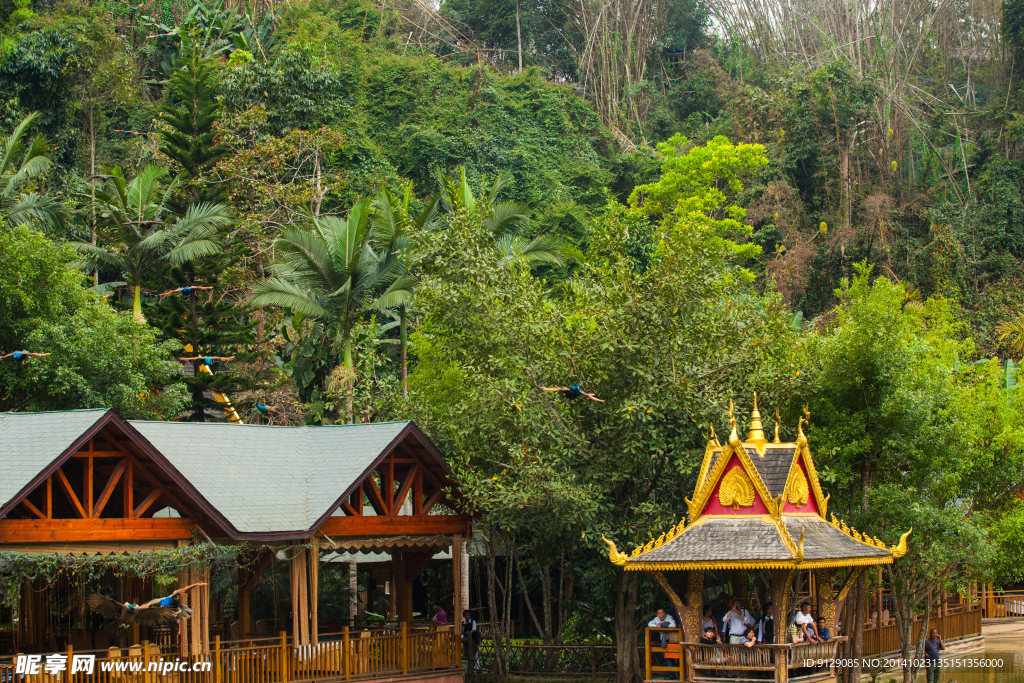 西双版纳原始森林公园