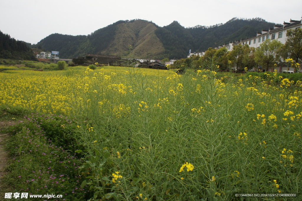三清山 途经风景