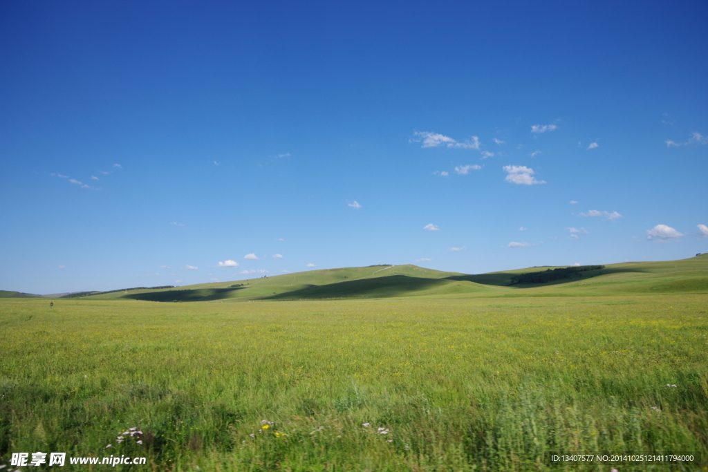 草场 草原 蓝天 原野