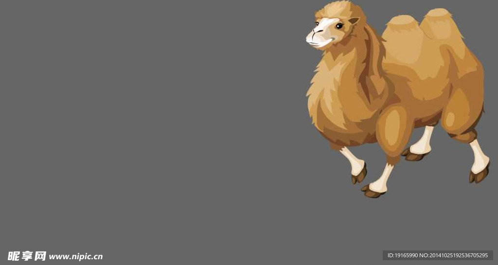 沙漠动物骆驼骨骼动画