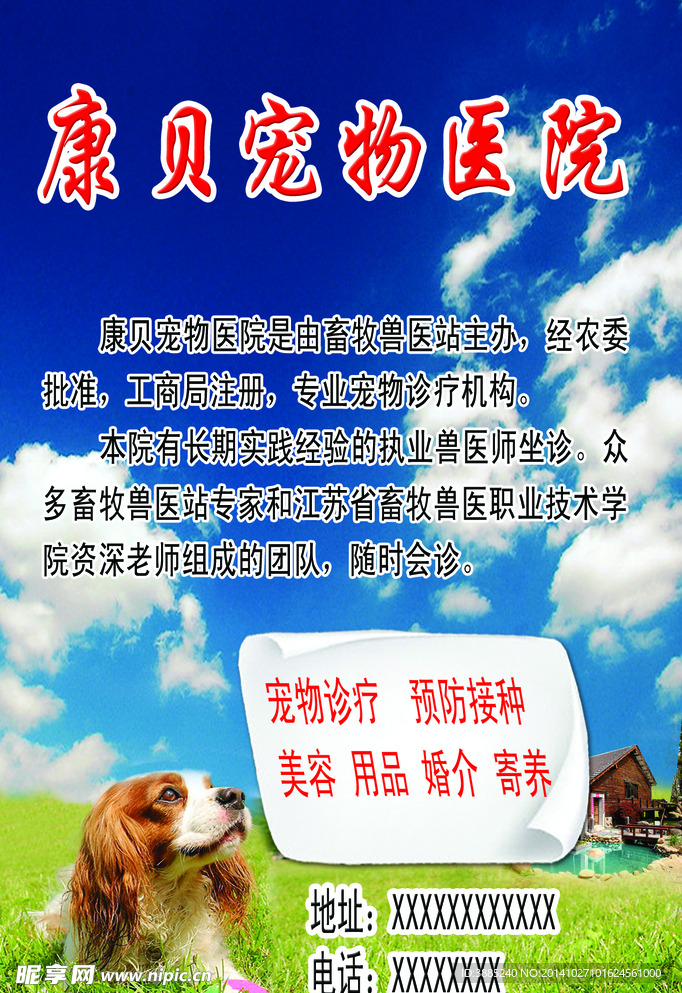 宠物医院海报