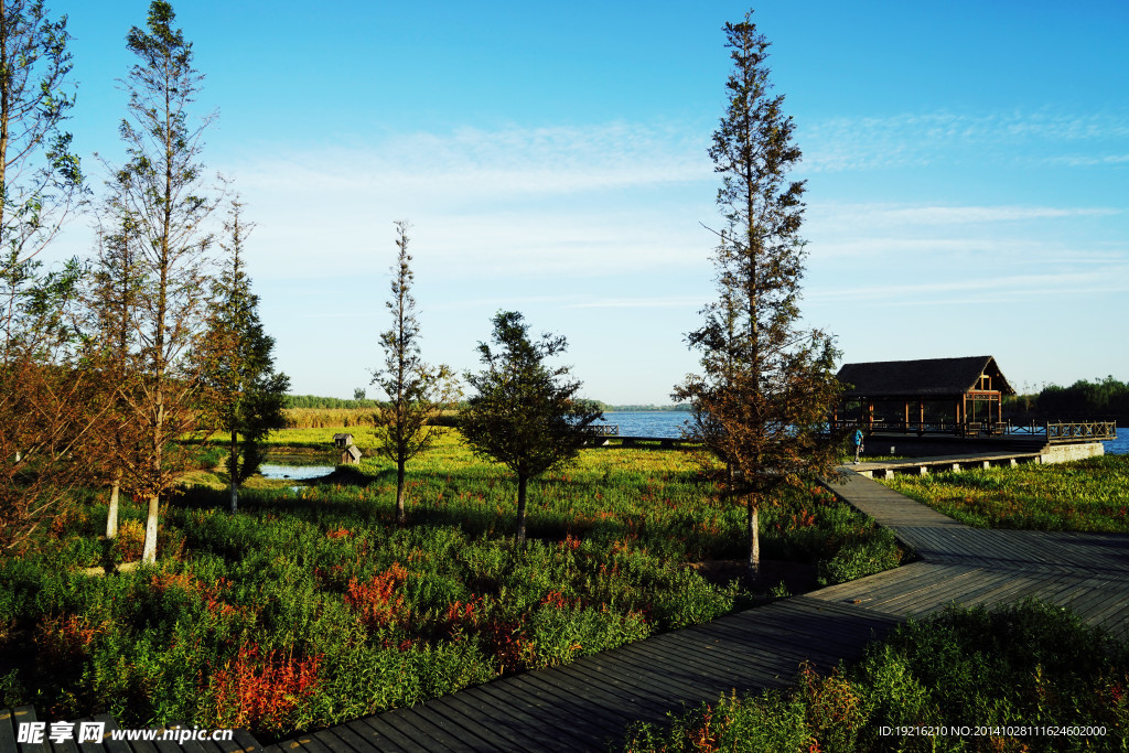 大运河公园 通州