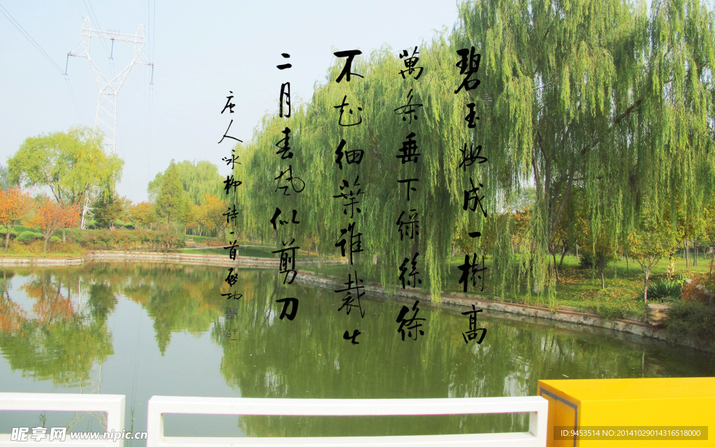 启功书法贺知章咏柳