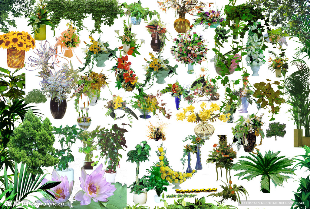 花草植物PSD分层素材