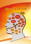 脑部思维分析图