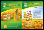 红锦天小麦宣传