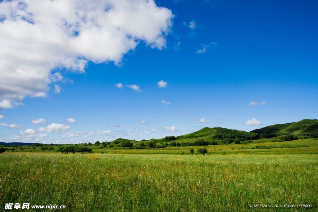 蓝天白云大草原