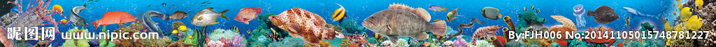 海景 海底世界