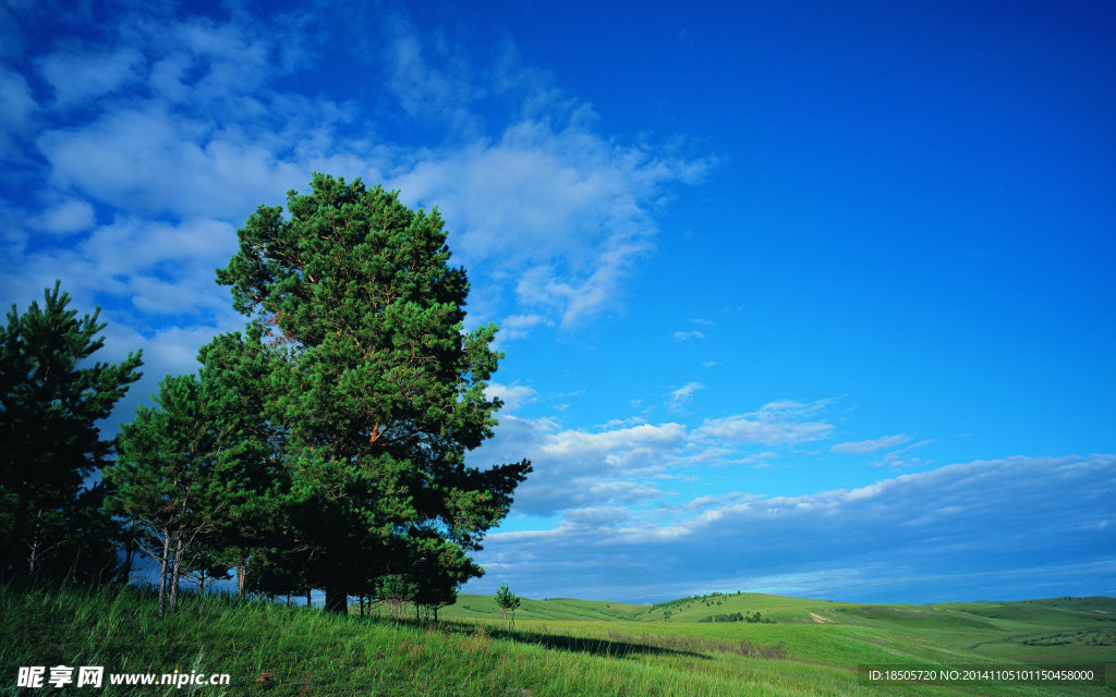 蓝天白云绿草地