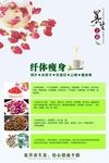 养生茶海报