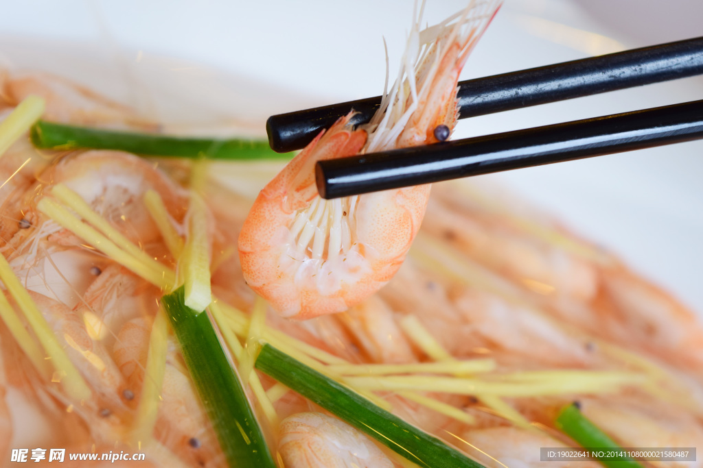 鲜虾 海鲜