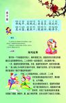 弟子规展板