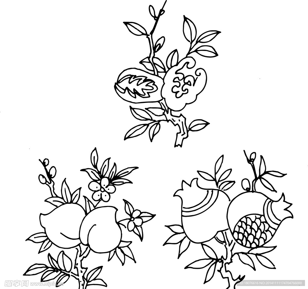 蟠桃 石榴 植物白描  