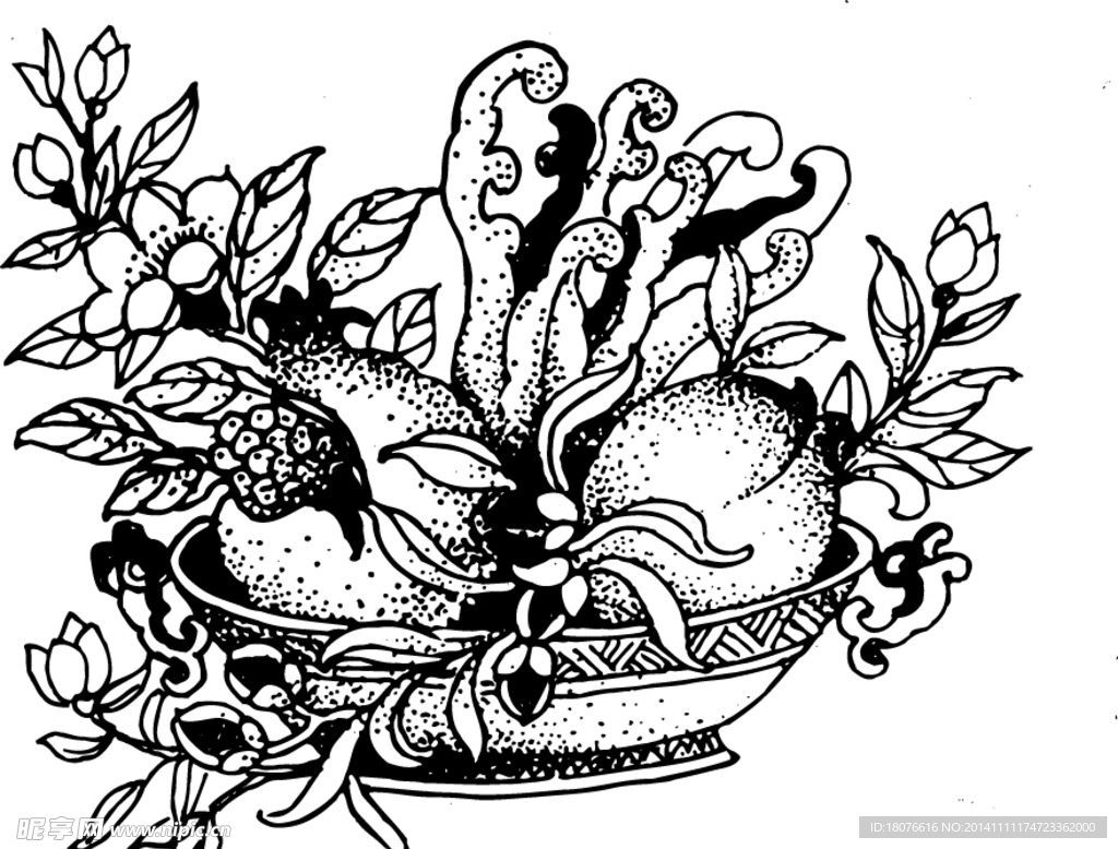 石榴 植物线描 线描 