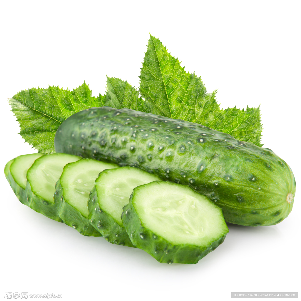 黄瓜图片