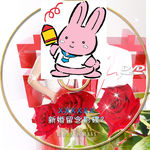 婚庆光盘贴人物