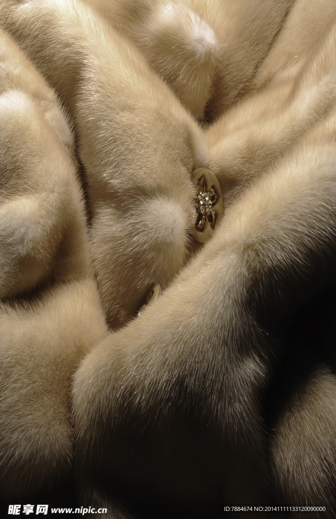 皮草高清图片