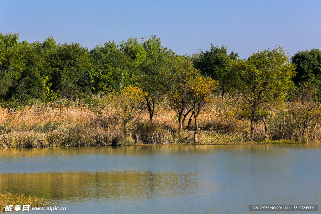 西溪湿地  洪园