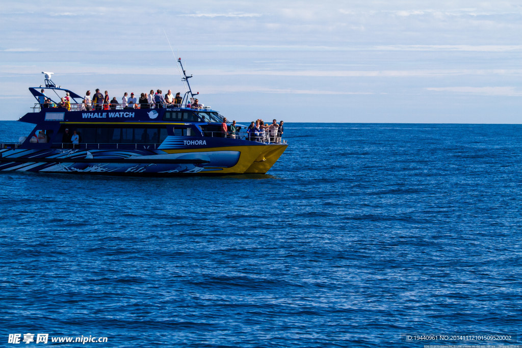 新西兰  凯库拉