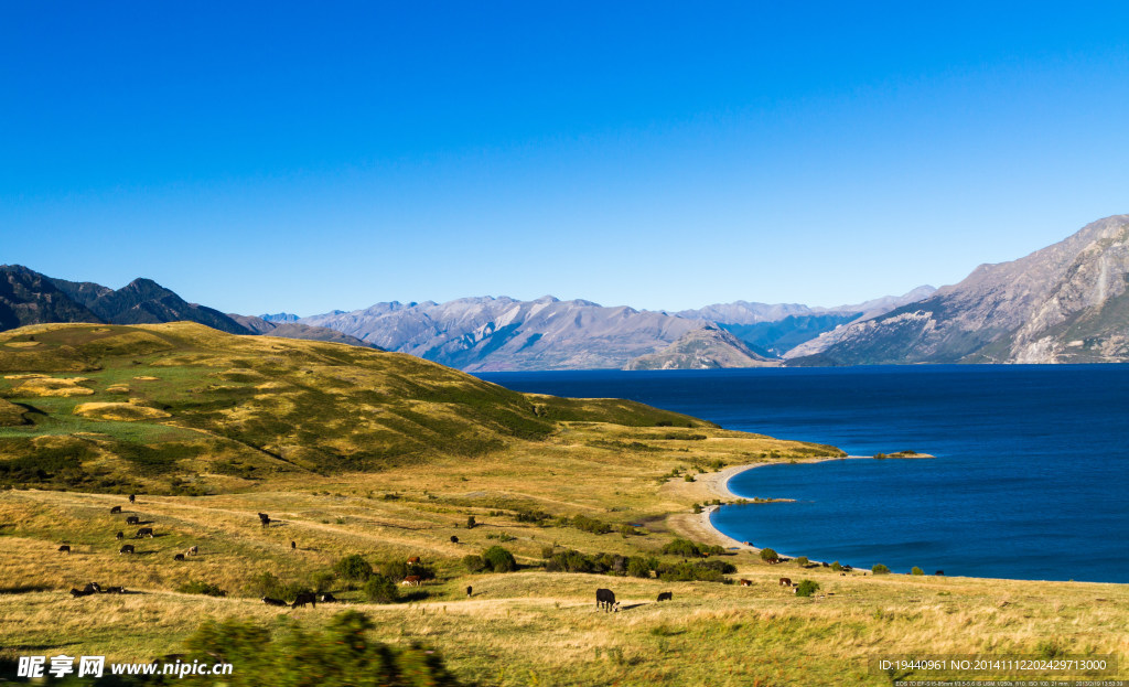 新西兰  瓦纳卡湖