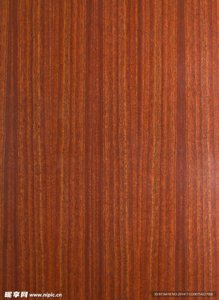 原木木材纹理摄影