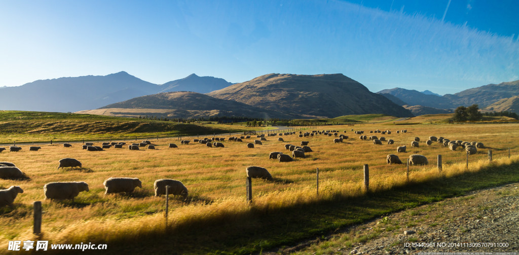 新西兰  皇后镇