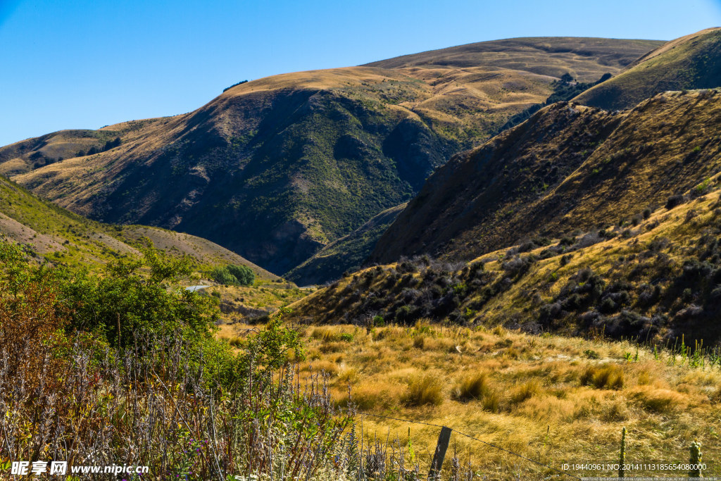 新西兰  特威泽尔