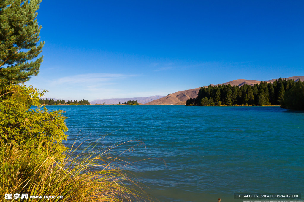 新西兰  特威泽尔