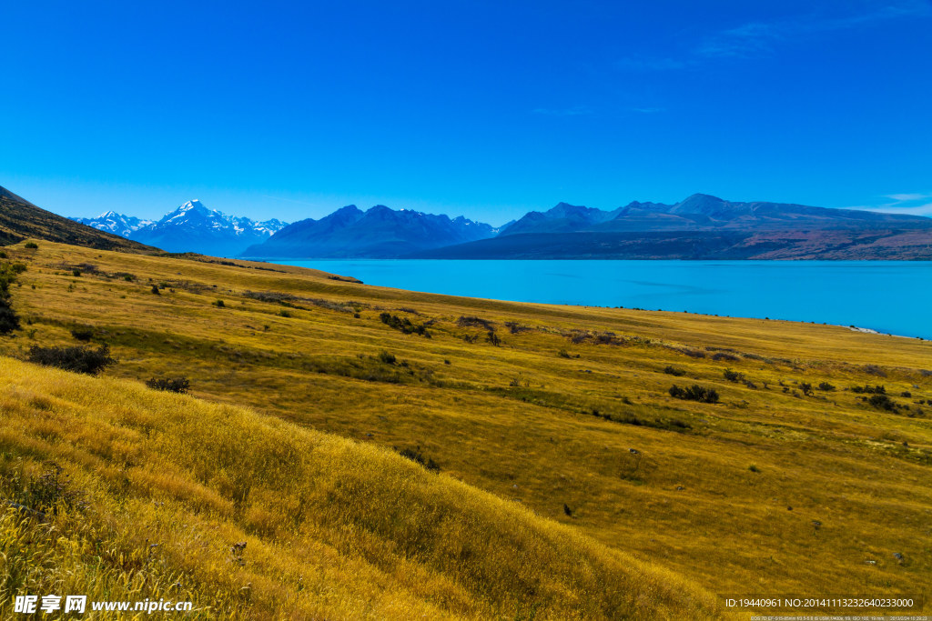 新西兰  特卡波湖