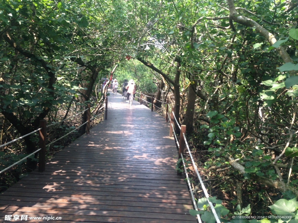 八门湾木栈道