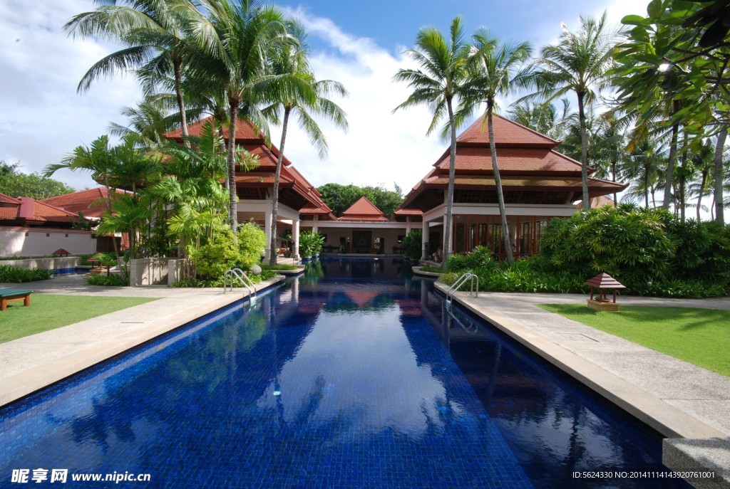 泳池 度假村