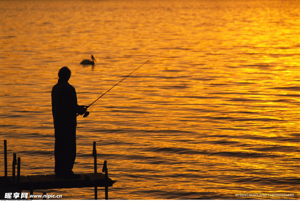 水纹 男人 钓鱼