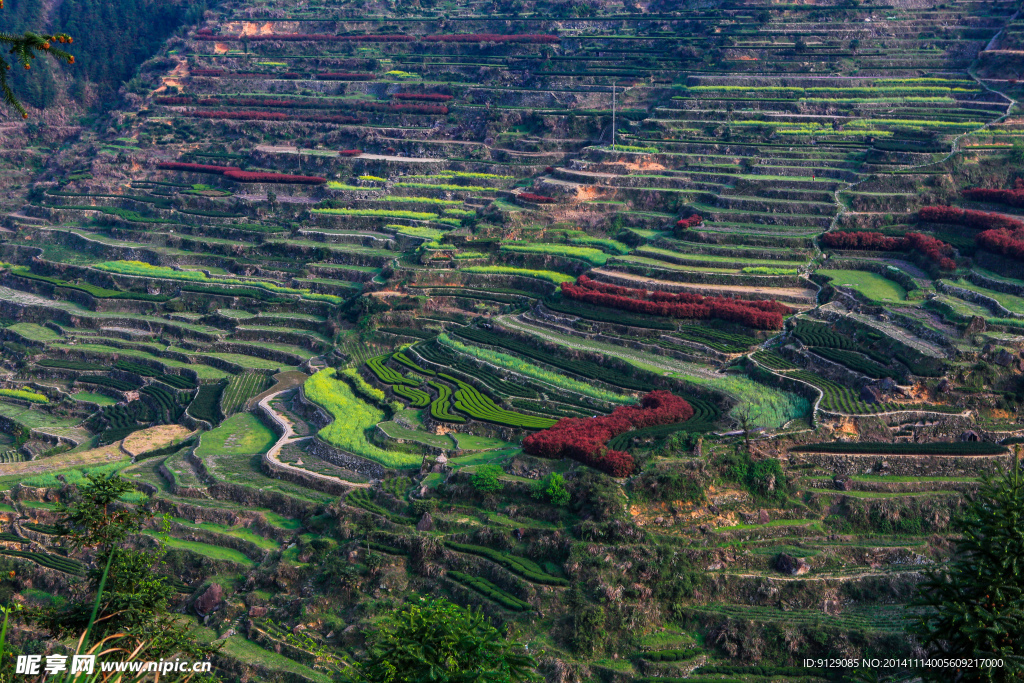 乌溪江 大柯梯田