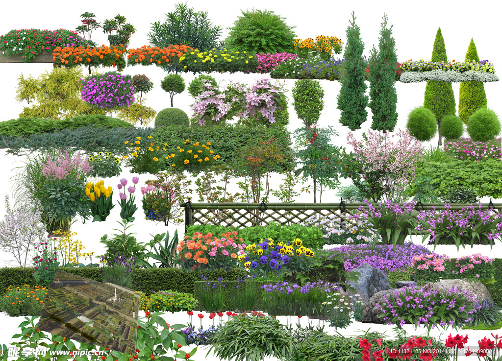 园林景观植物素材