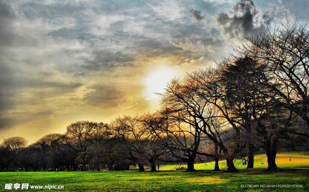 奥林匹克公园夕阳