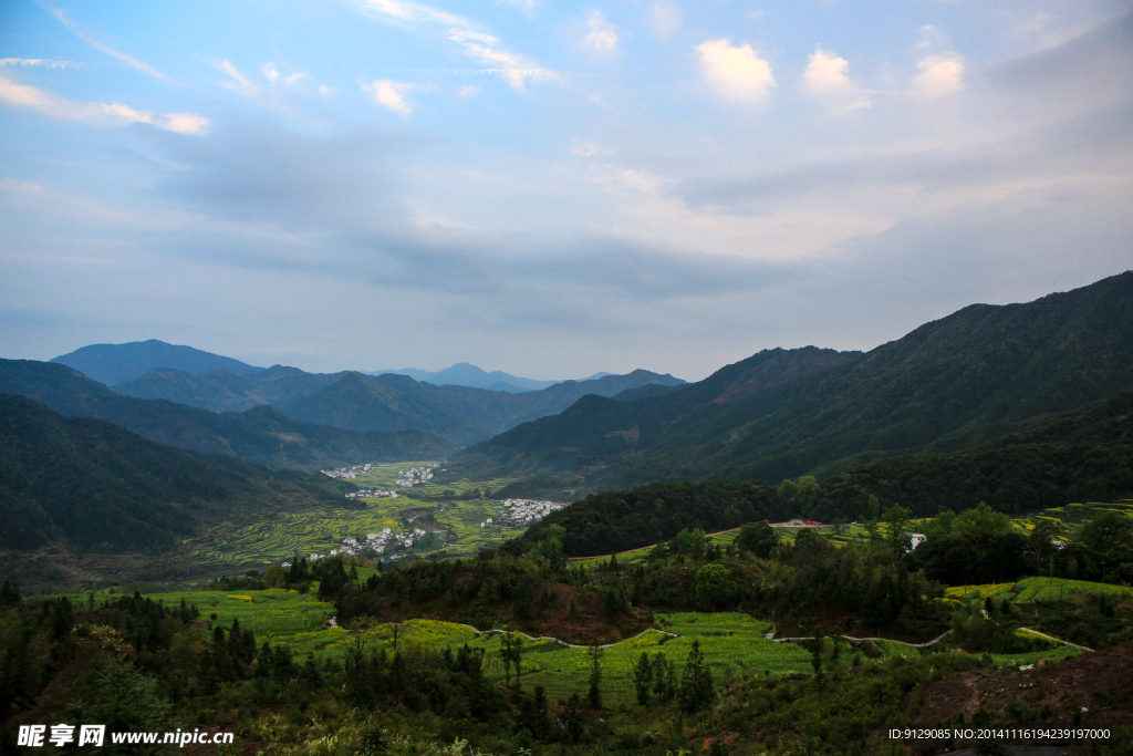 江岭梯田油菜花