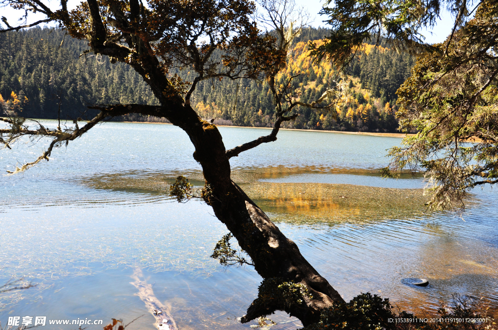 普达措国家公园