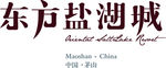 东方盐湖城LOGO