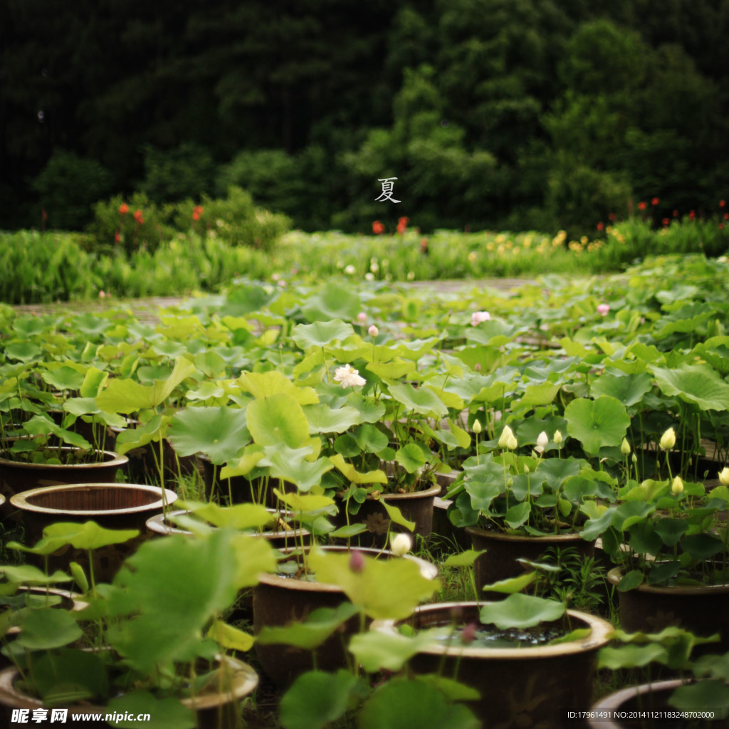 奥林匹克公园风光